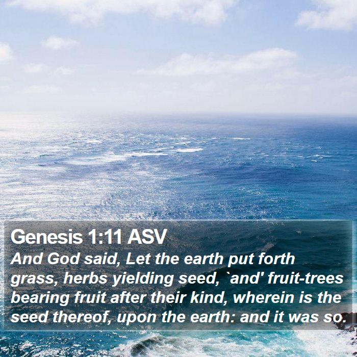 Genesis 1:11 ASV Bible Study