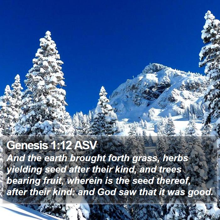 Genesis 1:12 ASV Bible Study