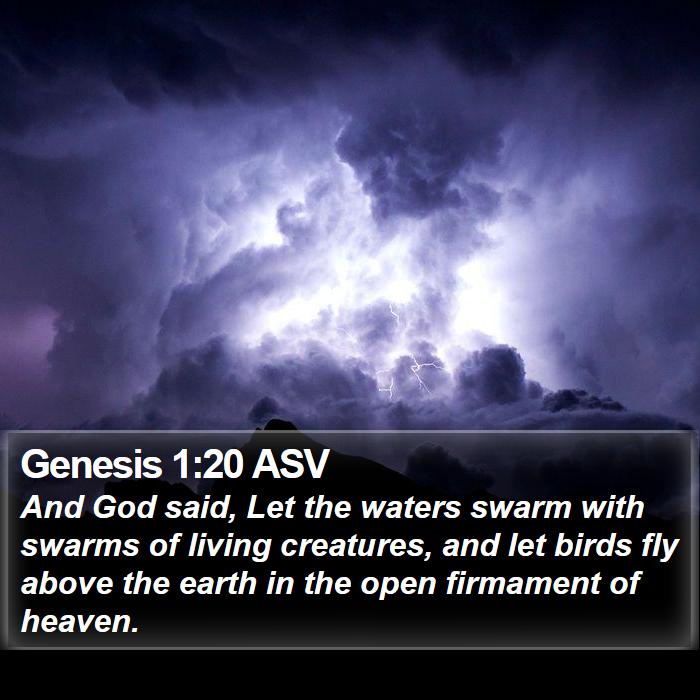 Genesis 1:20 ASV Bible Study