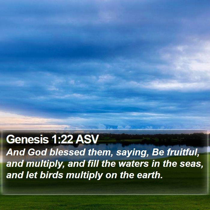 Genesis 1:22 ASV Bible Study