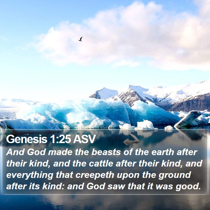 Genesis 1:25 ASV Bible Study