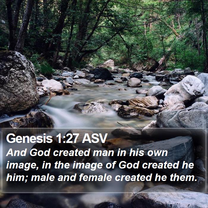 Genesis 1:27 ASV Bible Study