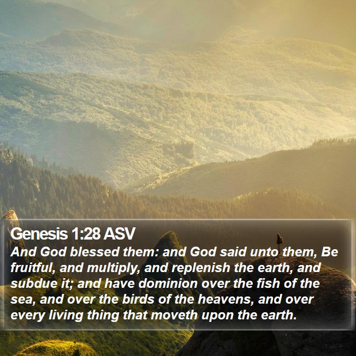 Genesis 1:28 ASV Bible Study