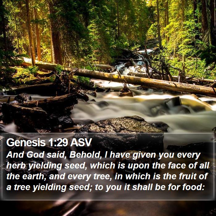 Genesis 1:29 ASV Bible Study