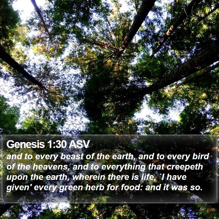 Genesis 1:30 ASV Bible Study