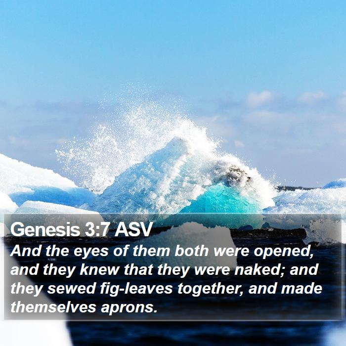 Genesis 3:7 ASV Bible Study