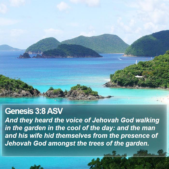 Genesis 3:8 ASV Bible Study