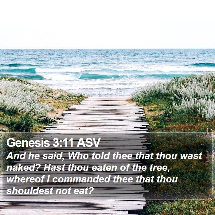 Genesis 3:11 ASV Bible Study