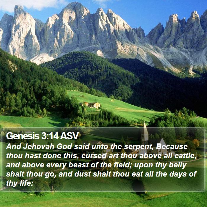 Genesis 3:14 ASV Bible Study