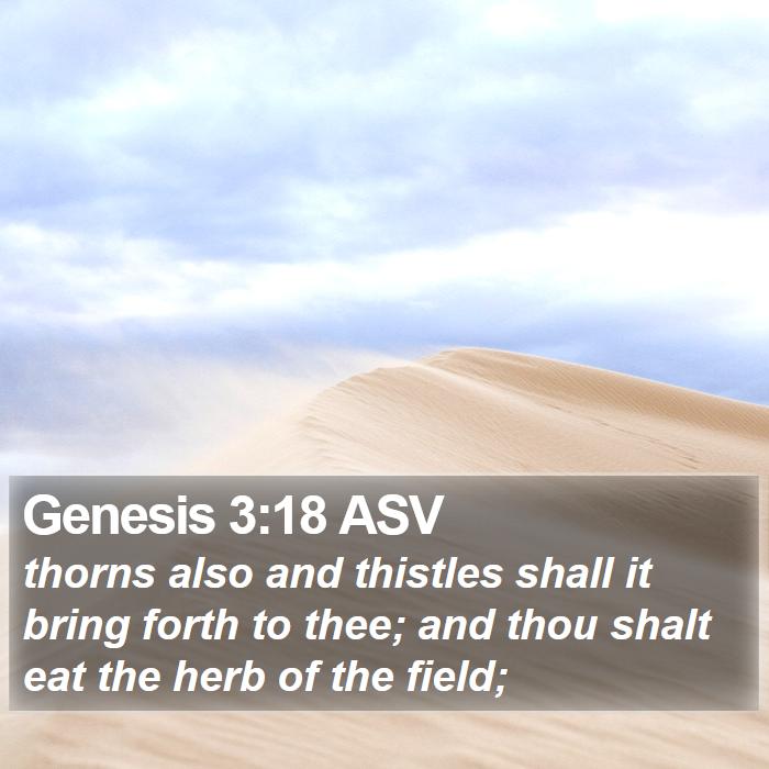 Genesis 3:18 ASV Bible Study