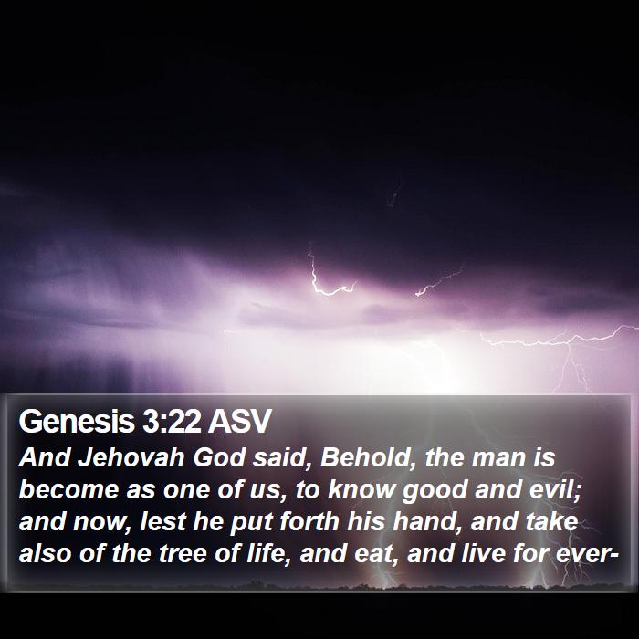 Genesis 3:22 ASV Bible Study