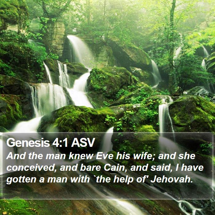 Genesis 4:1 ASV Bible Study