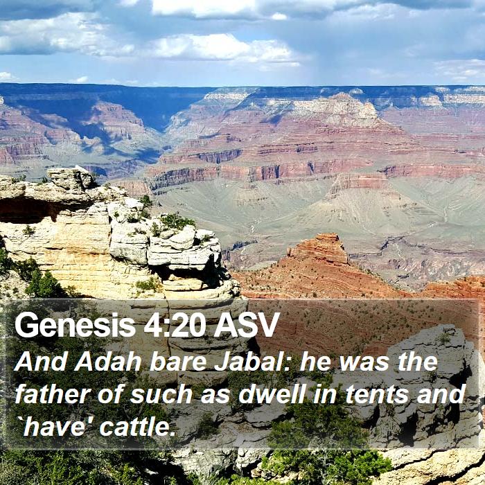 Genesis 4:20 ASV Bible Study