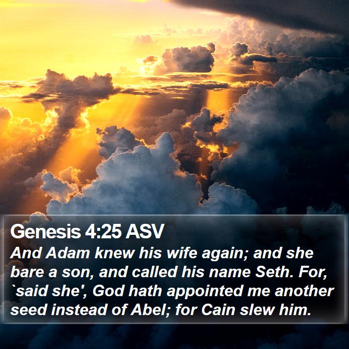 Genesis 4:25 ASV Bible Study