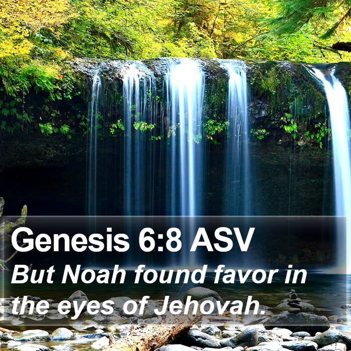 Genesis 6:8 ASV Bible Study