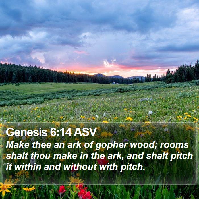 Genesis 6:14 ASV Bible Study