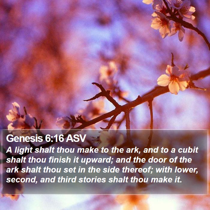 Genesis 6:16 ASV Bible Study