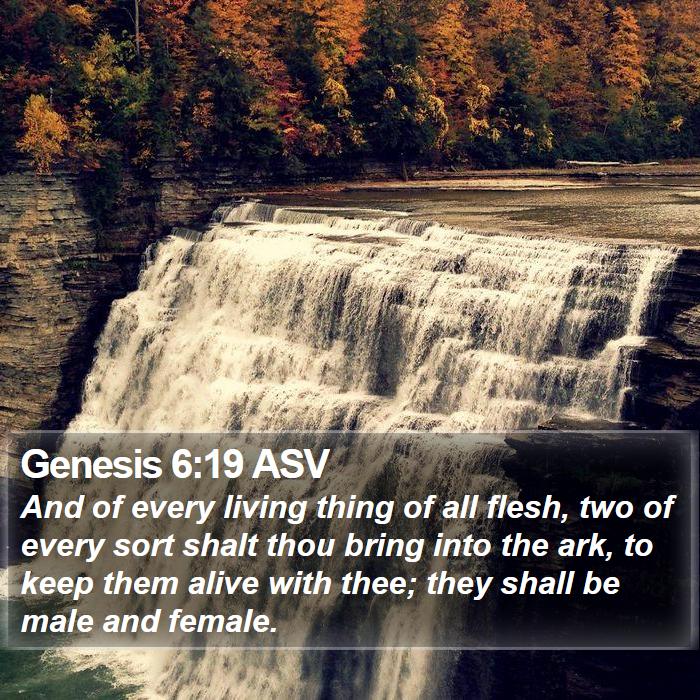 Genesis 6:19 ASV Bible Study