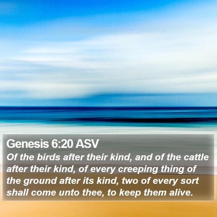 Genesis 6:20 ASV Bible Study