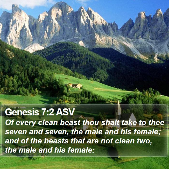 Genesis 7:2 ASV Bible Study