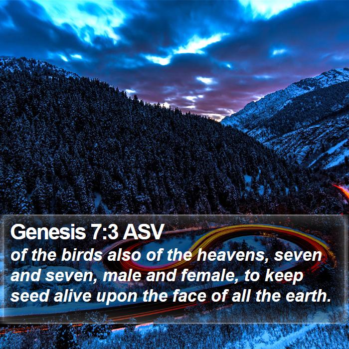 Genesis 7:3 ASV Bible Study