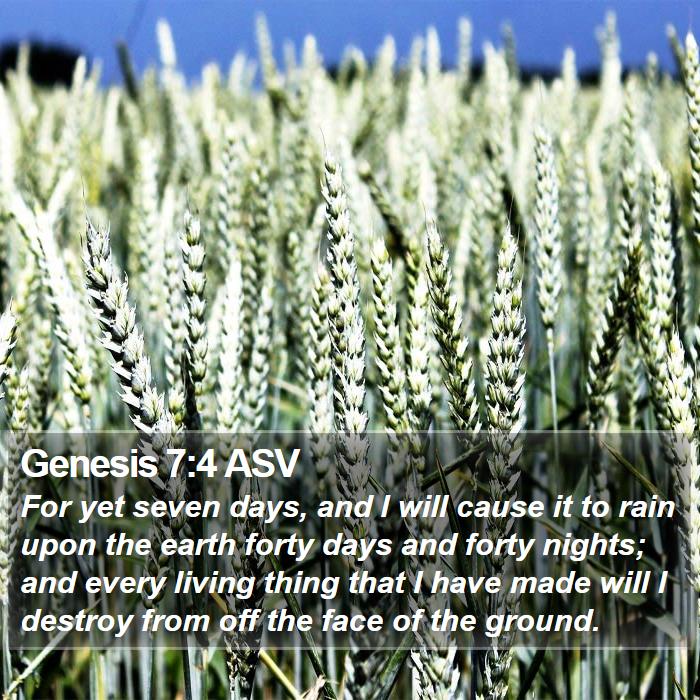 Genesis 7:4 ASV Bible Study