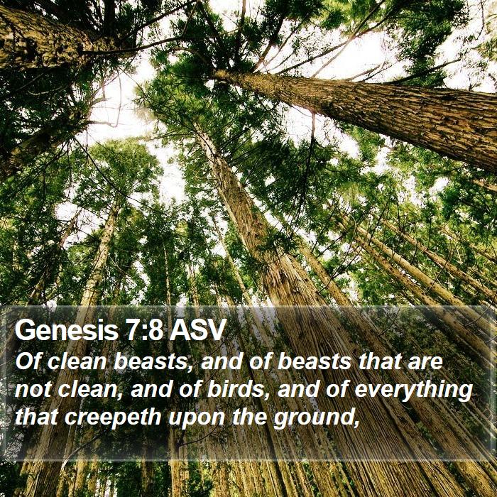 Genesis 7:8 ASV Bible Study