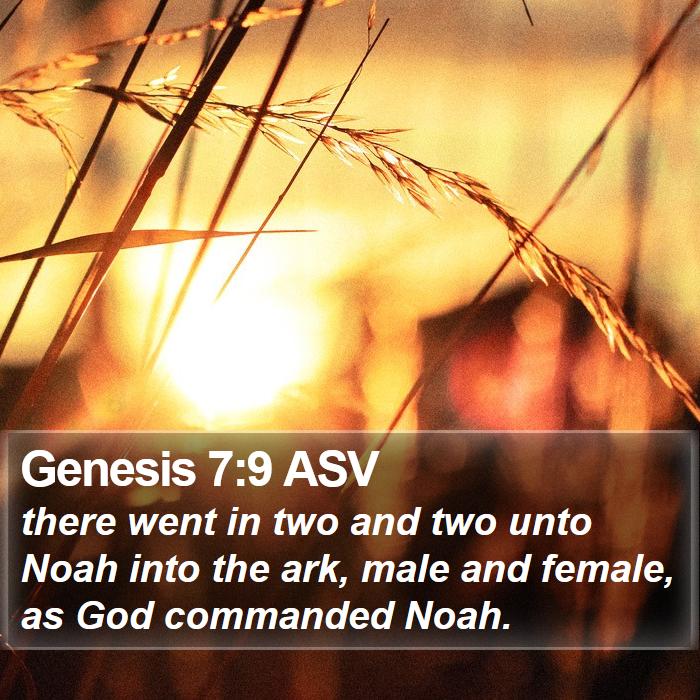 Genesis 7:9 ASV Bible Study