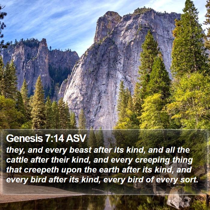 Genesis 7:14 ASV Bible Study