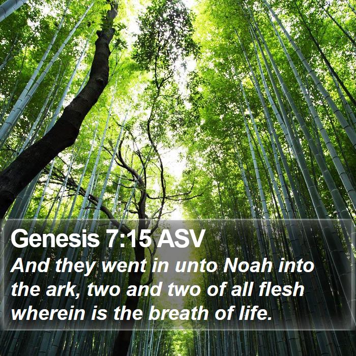 Genesis 7:15 ASV Bible Study