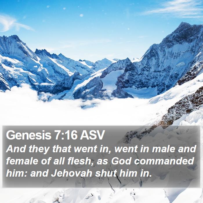 Genesis 7:16 ASV Bible Study