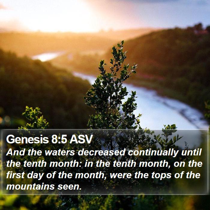 Genesis 8:5 ASV Bible Study