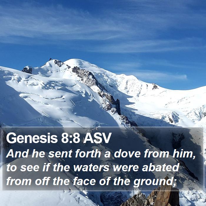 Genesis 8:8 ASV Bible Study