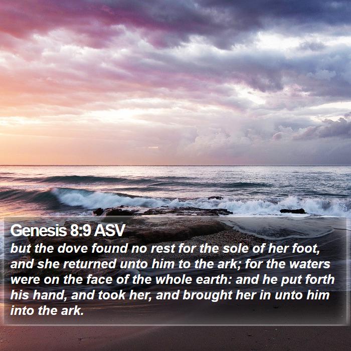 Genesis 8:9 ASV Bible Study