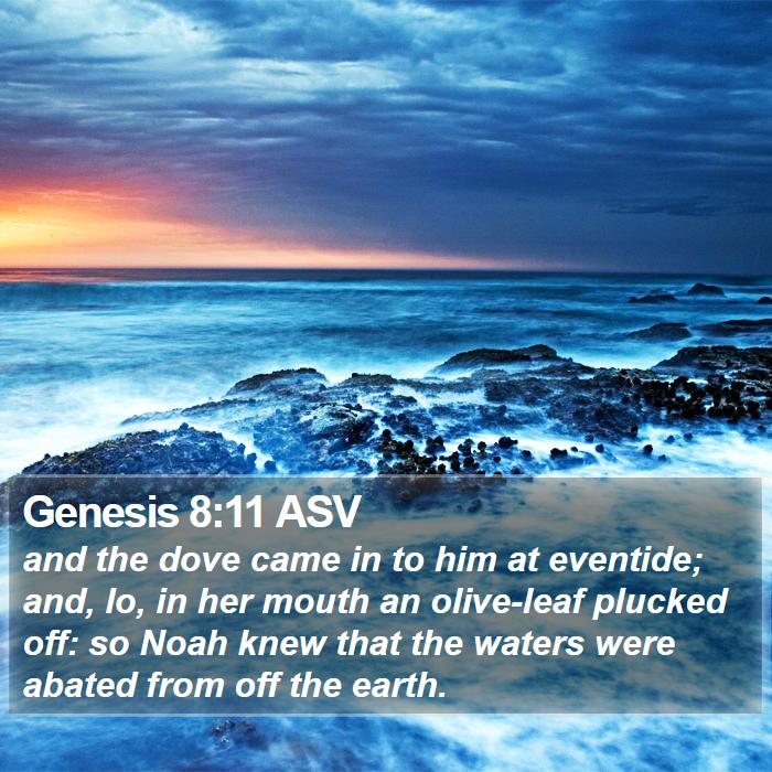 Genesis 8:11 ASV Bible Study