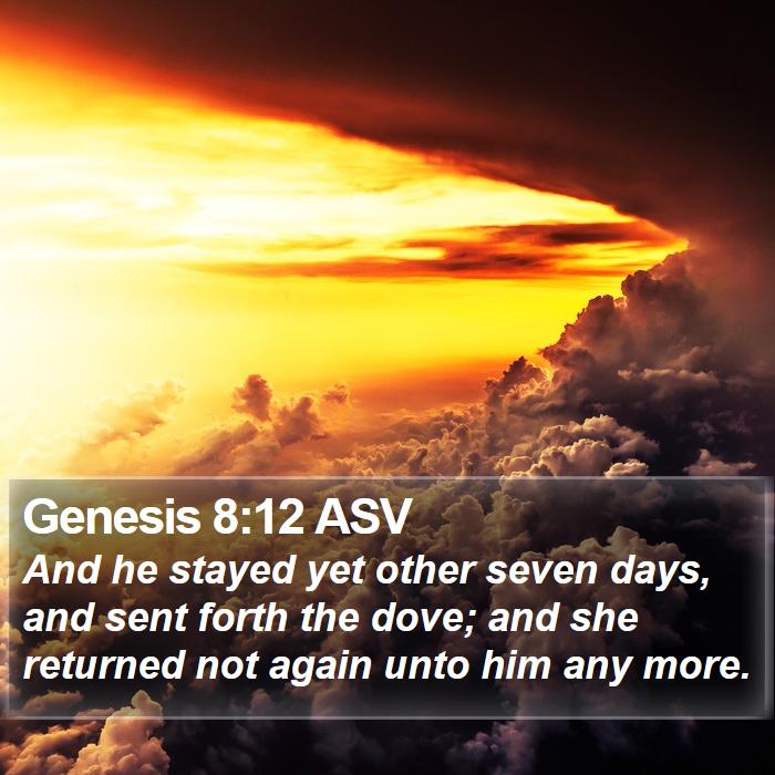 Genesis 8:12 ASV Bible Study