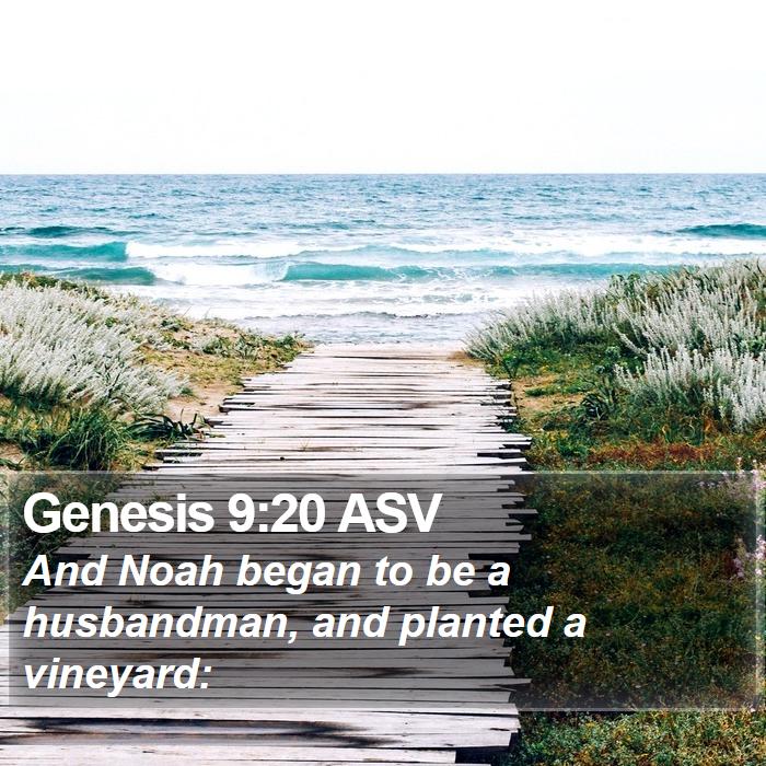 Genesis 9:20 ASV Bible Study