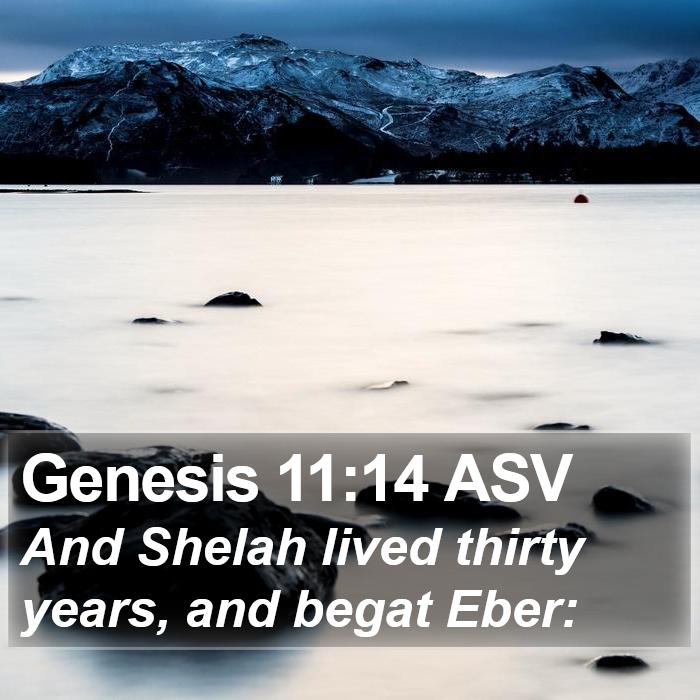 Genesis 11:14 ASV Bible Study