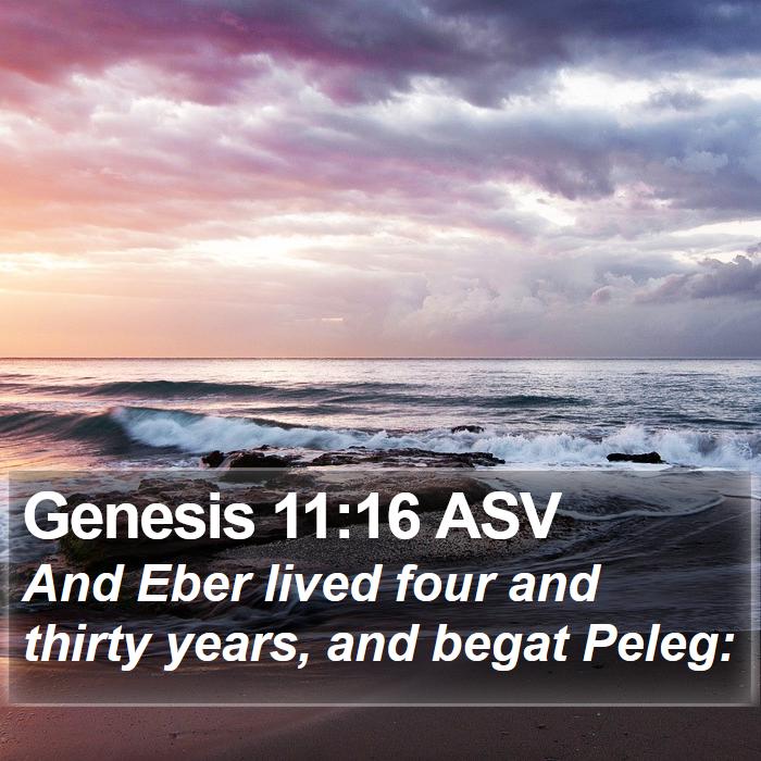 Genesis 11:16 ASV Bible Study