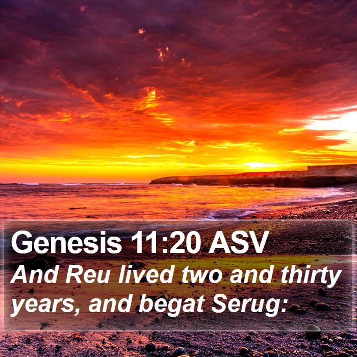 Genesis 11:20 ASV Bible Study