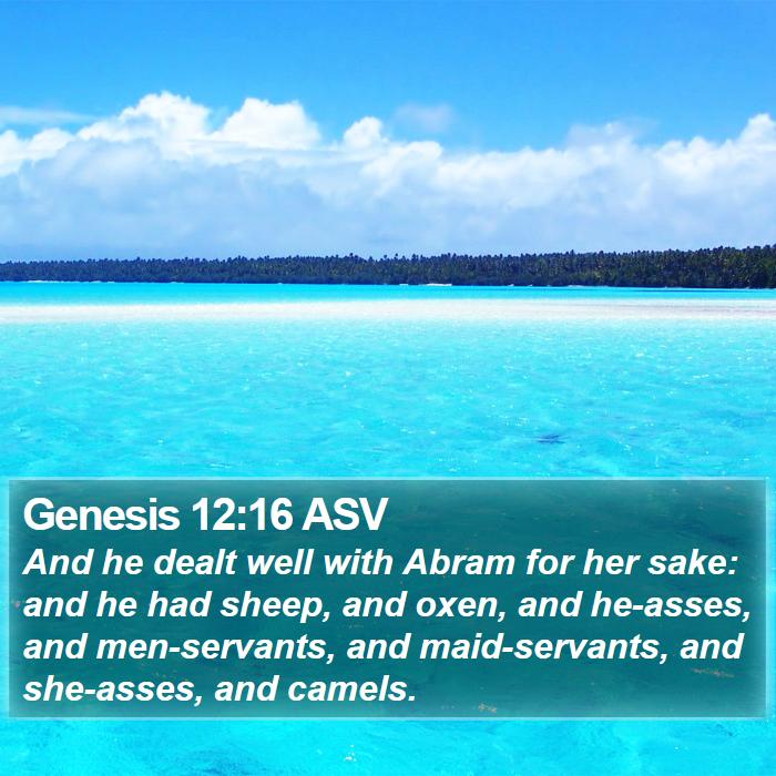 Genesis 12:16 ASV Bible Study