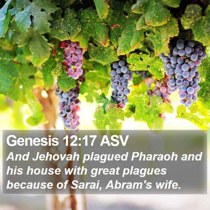 Genesis 12:17 ASV Bible Study