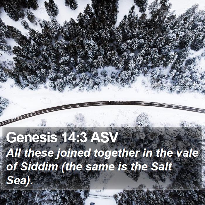 Genesis 14:3 ASV Bible Study