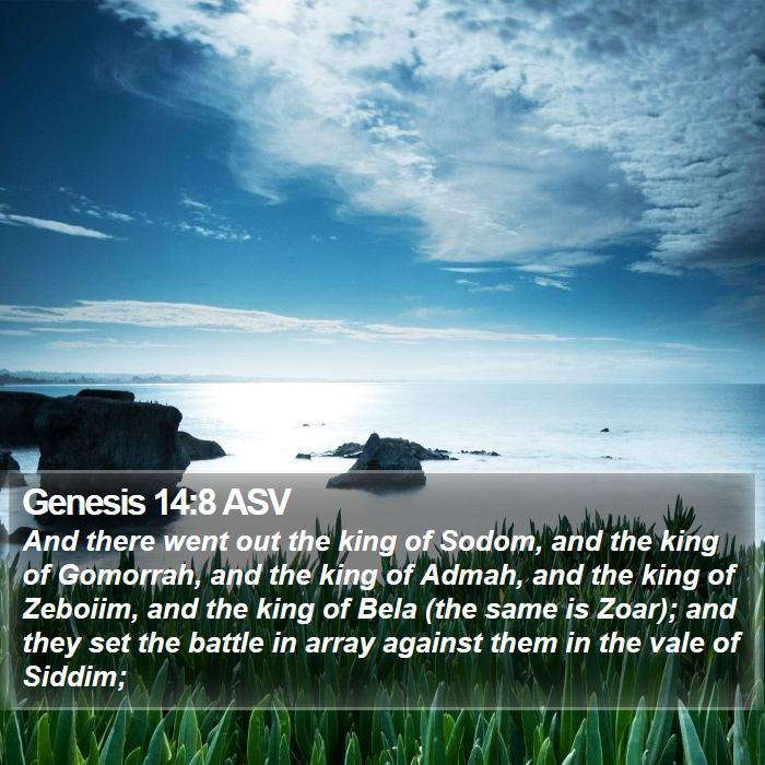 Genesis 14:8 ASV Bible Study