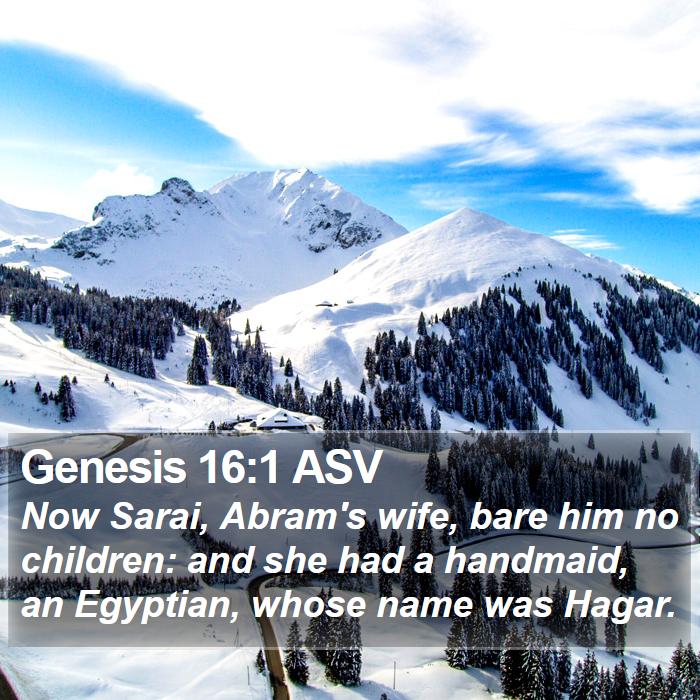 Genesis 16:1 ASV Bible Study