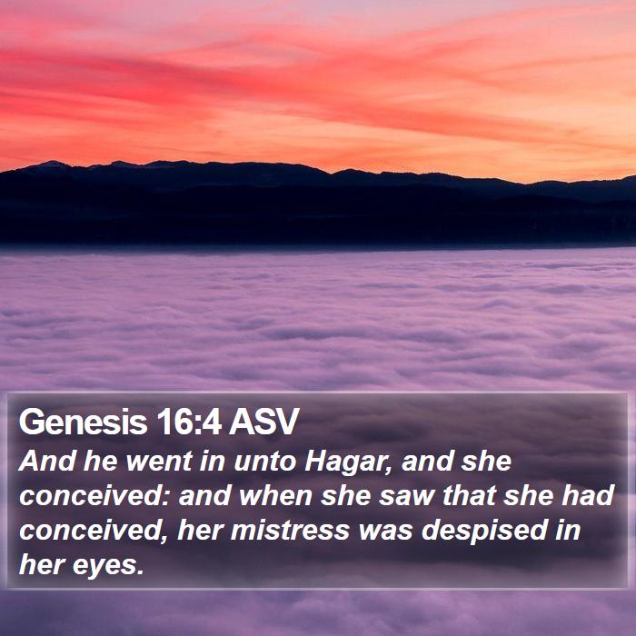 Genesis 16:4 ASV Bible Study