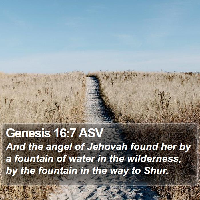 Genesis 16:7 ASV Bible Study