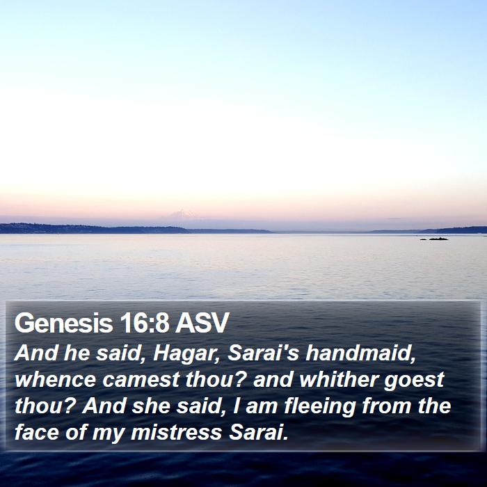 Genesis 16:8 ASV Bible Study