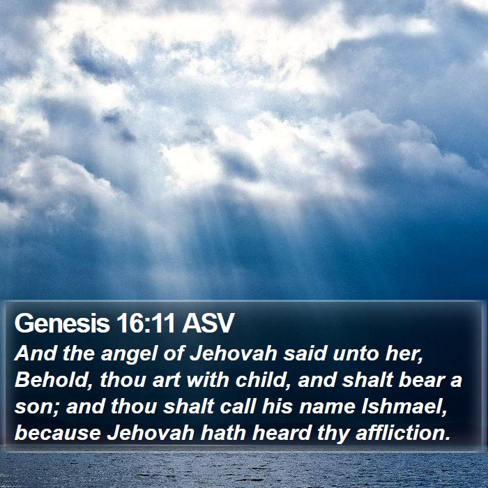 Genesis 16:11 ASV Bible Study