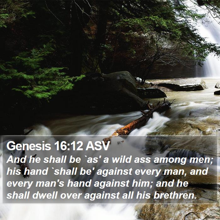 Genesis 16:12 ASV Bible Study